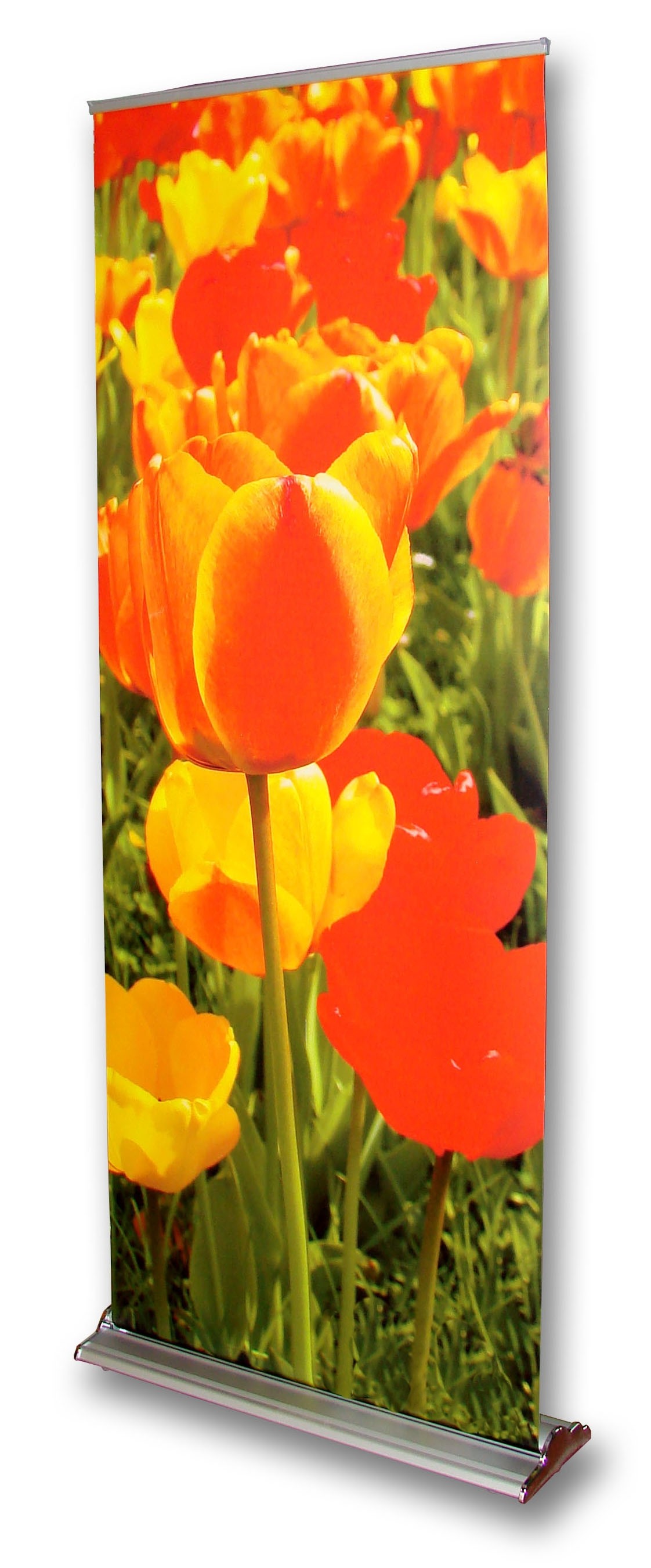 roll-up elegant